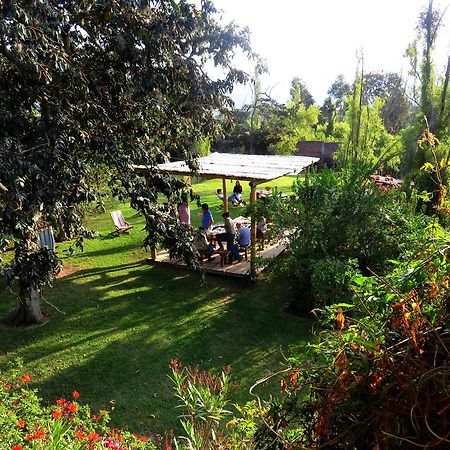 La Casa Del Tilo Bed and Breakfast Hacienda Santa Rosa Buitenkant foto
