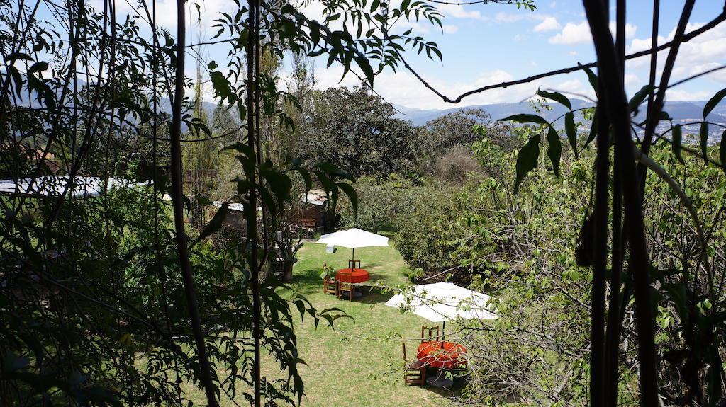 La Casa Del Tilo Bed and Breakfast Hacienda Santa Rosa Buitenkant foto