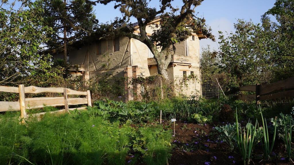 La Casa Del Tilo Bed and Breakfast Hacienda Santa Rosa Buitenkant foto